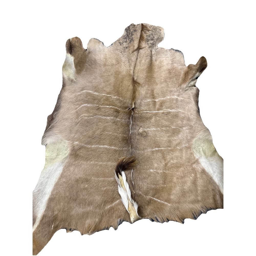 Kudu Skin Rug (Tail is 14") Real Greater Kudu Antelope Hide Size 5ft X8ft